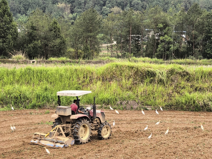 1751355366443657.jpg 20250626 青山书角-内文5.jpg